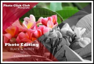 Read more about the article Editing